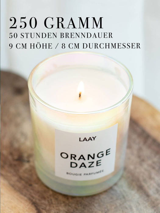 ORANGE DAZE SCENTED CANDLE - ORANGE&BIRD OF PARADISE