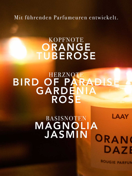 ORANGE DAZE SCENTED CANDLE - ORANGE&BIRD OF PARADISE